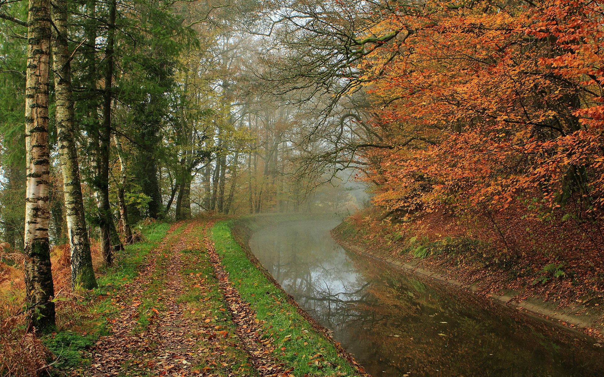 autunno fiume parco