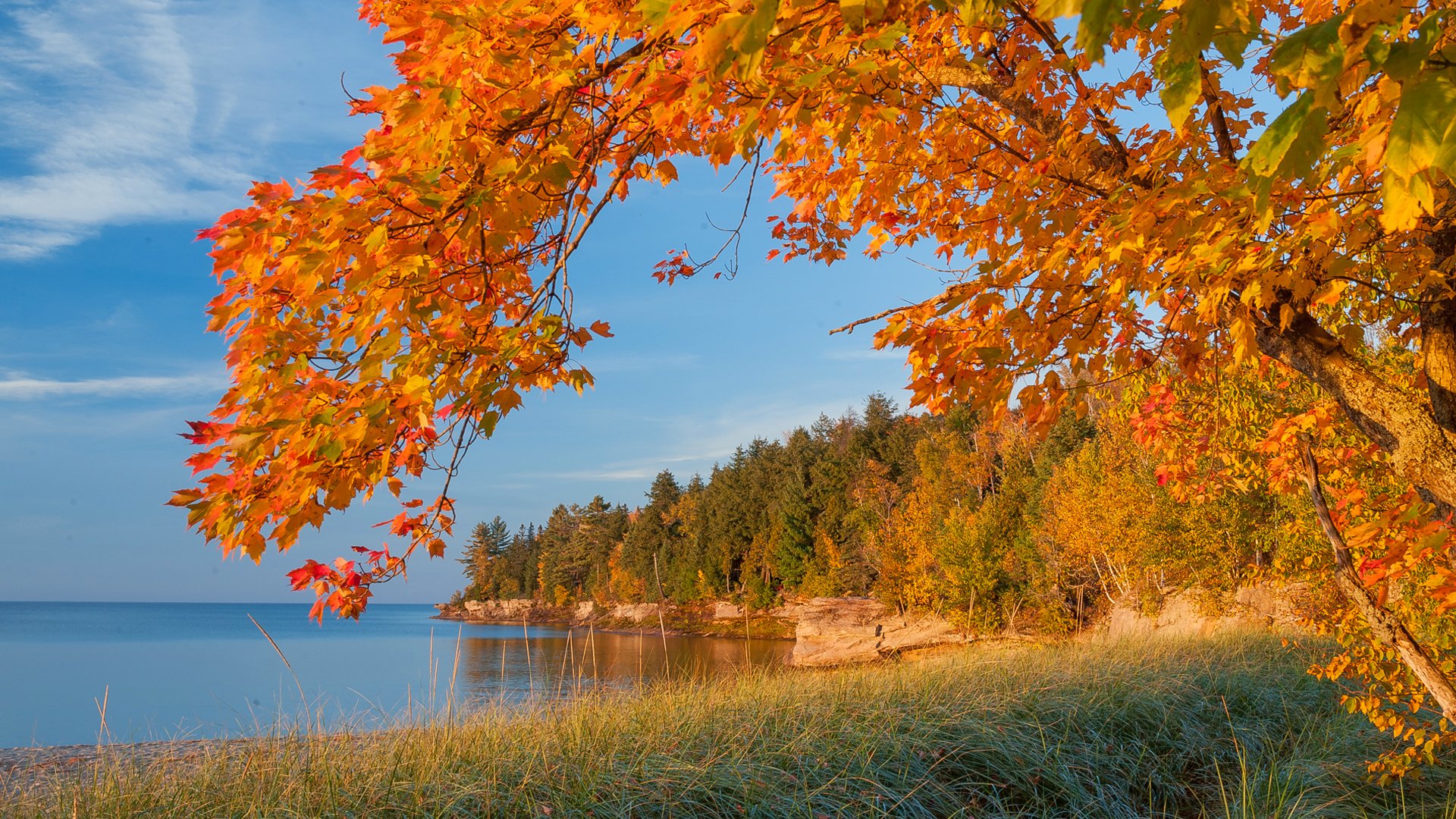 cielo lago mar árbol hojas otoño bosque costa rocas rama escarlata