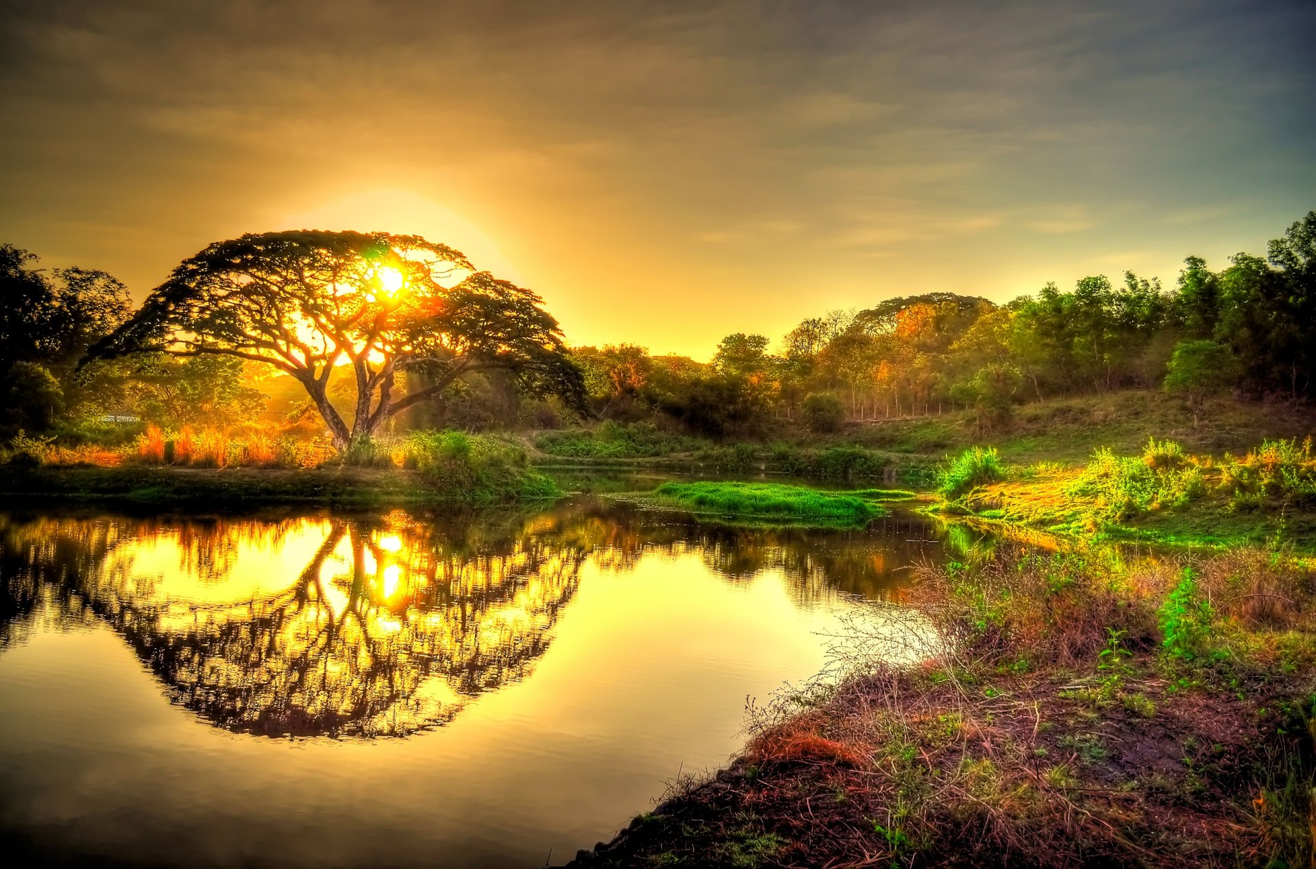 ky sunset sun tree forest pond reflection