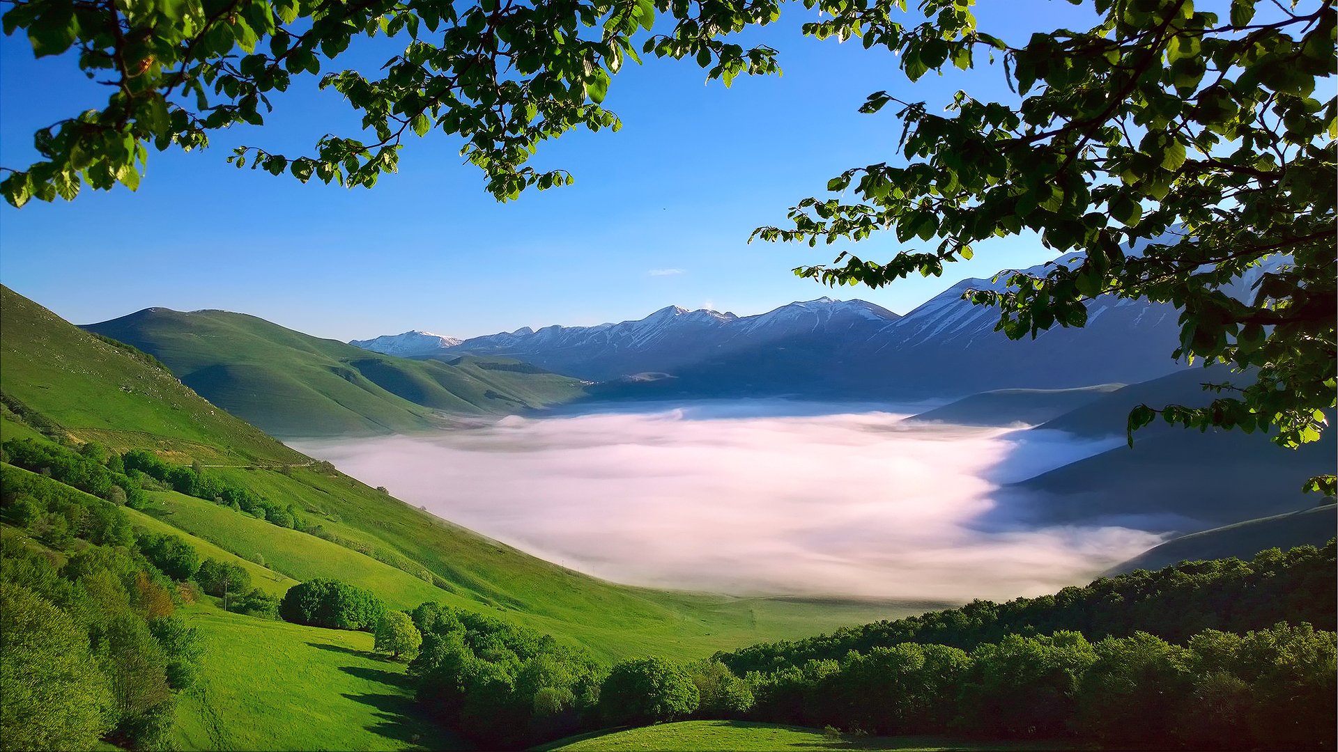 italy the apennine mountains mountain range monti sibillini valley morning fog tree branches foliage spring may