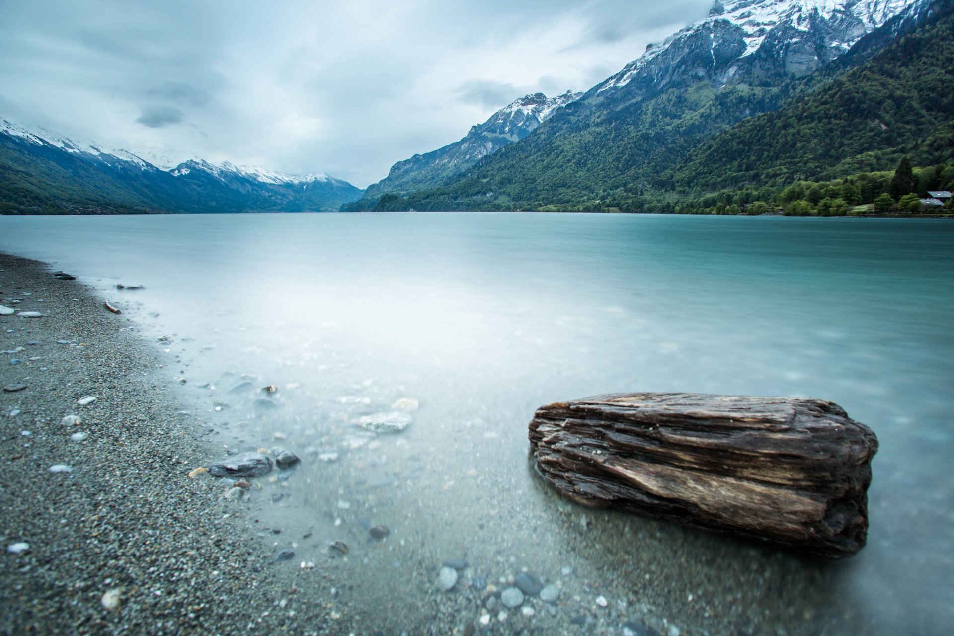 montagnes forêt lac pierre