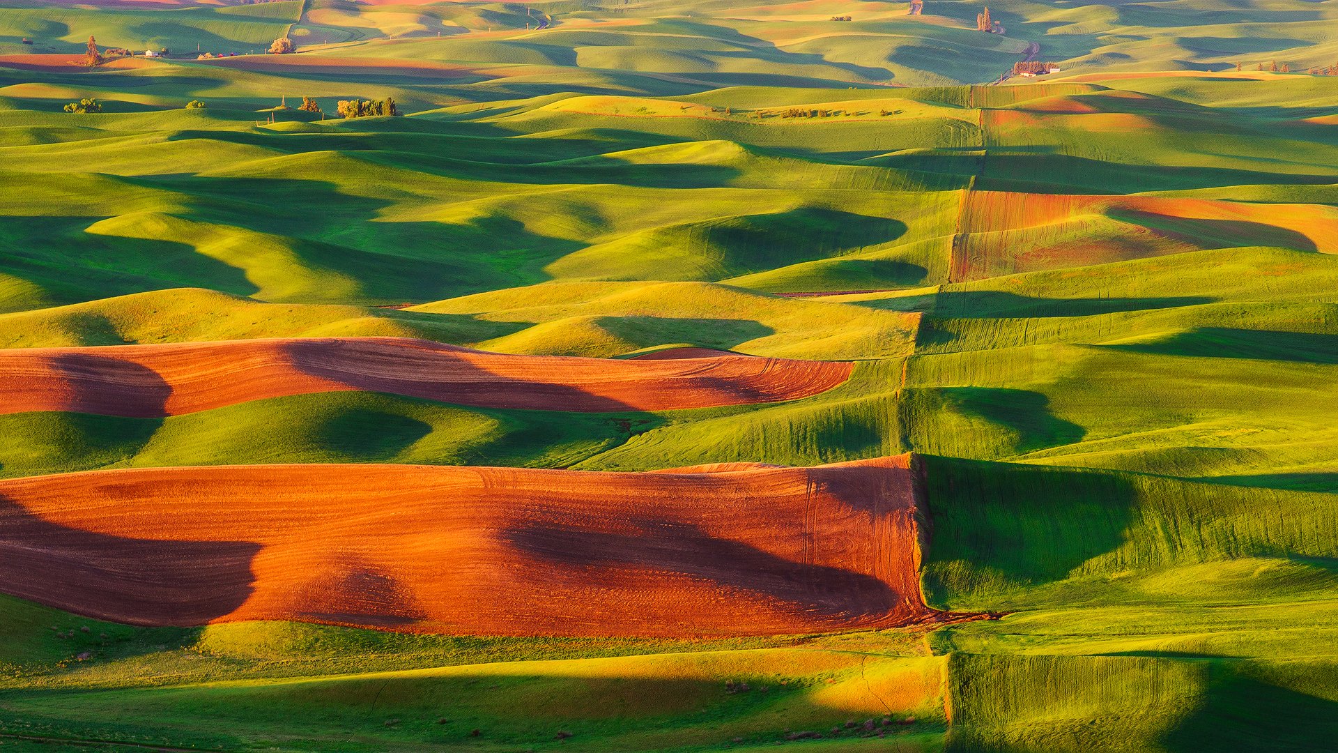 teptoe butte state park united states nature hills valley of the field rug