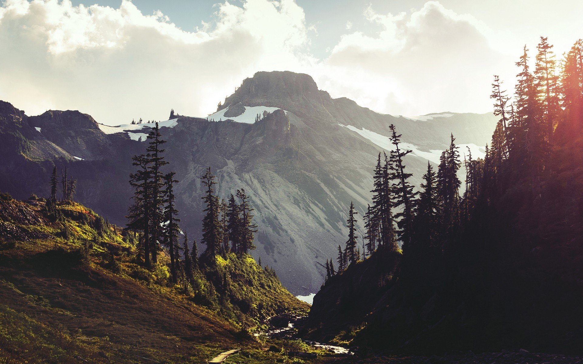 montagne alberi paesaggio neve