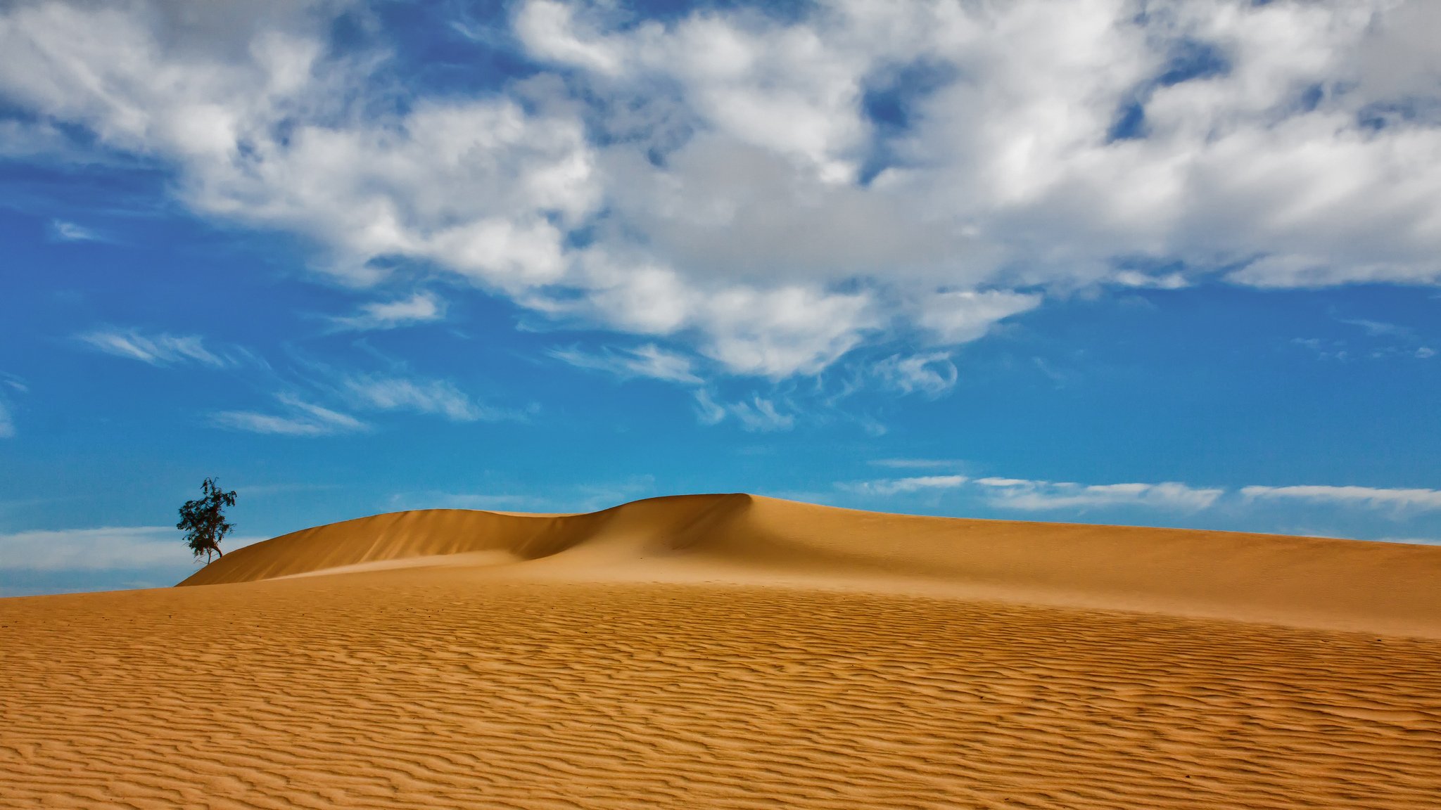 isole canarie spagna dune sabbia nuvole legno