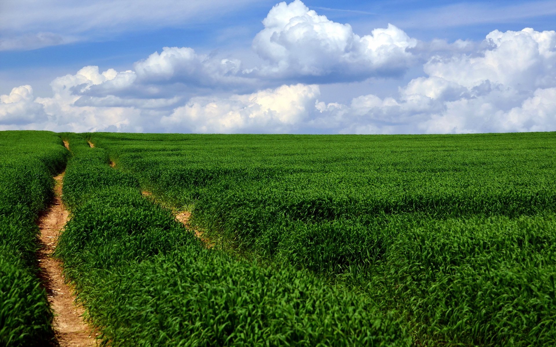 campo strada paesaggio