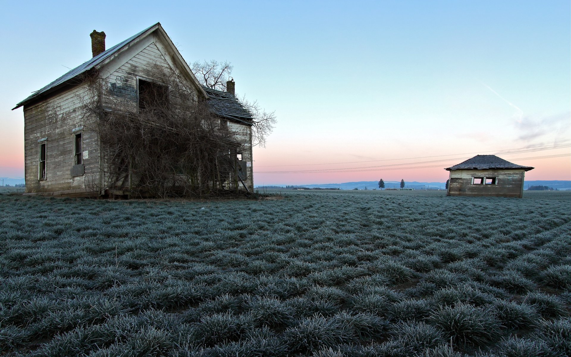 campo casa paesaggio colore