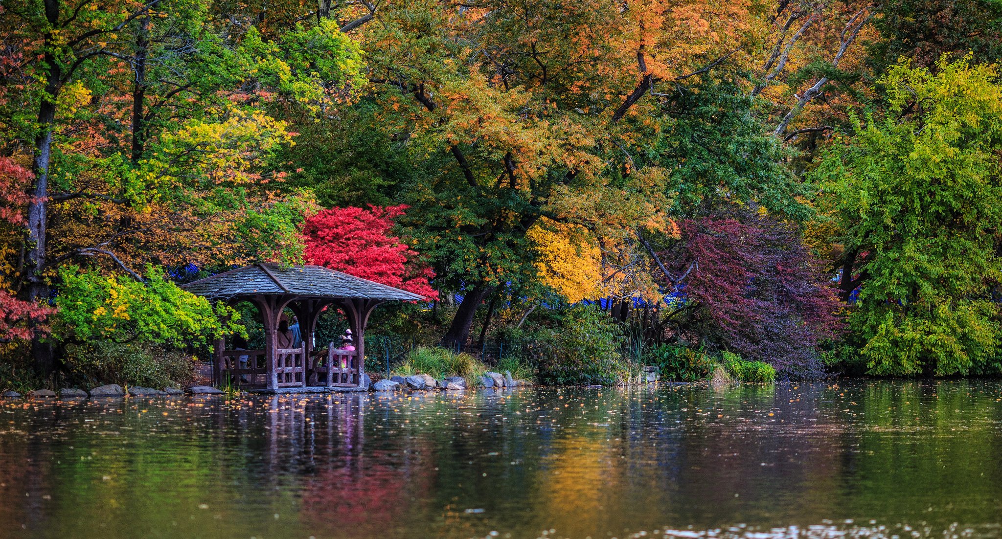 central park nowy jork jezioro altana jesień drzewa