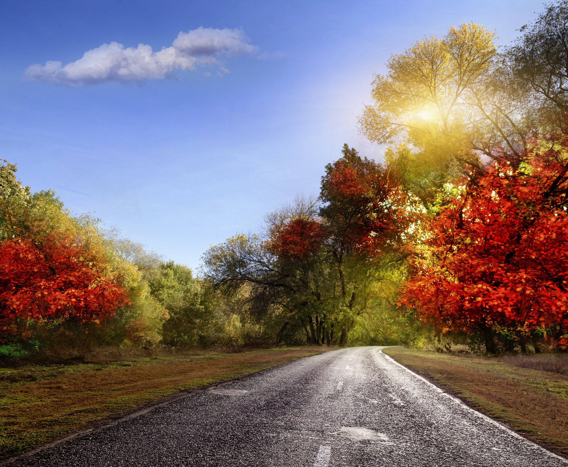 landscape nature autumn leaves colorfully road rays sky