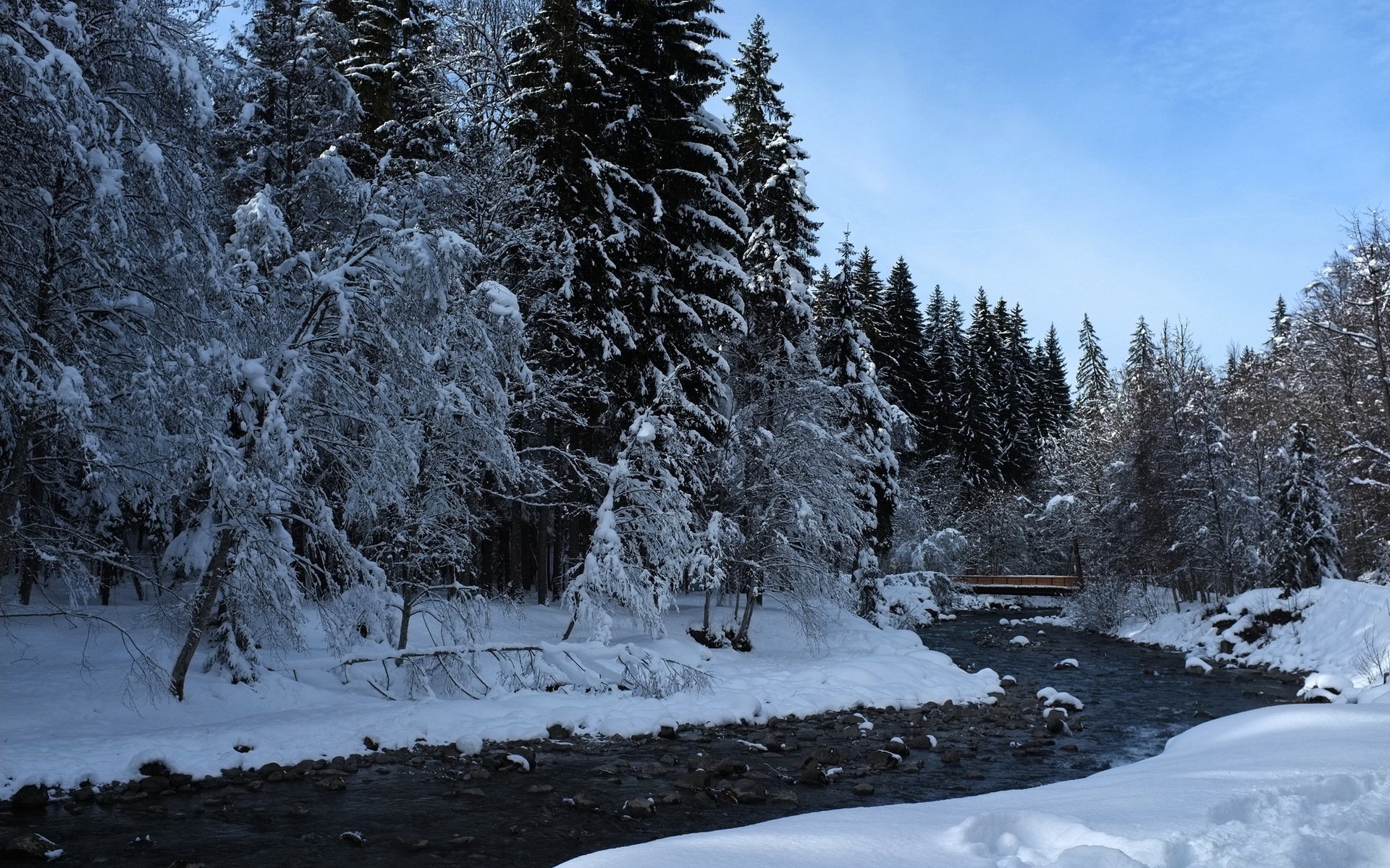 bosque río invierno naturaleza