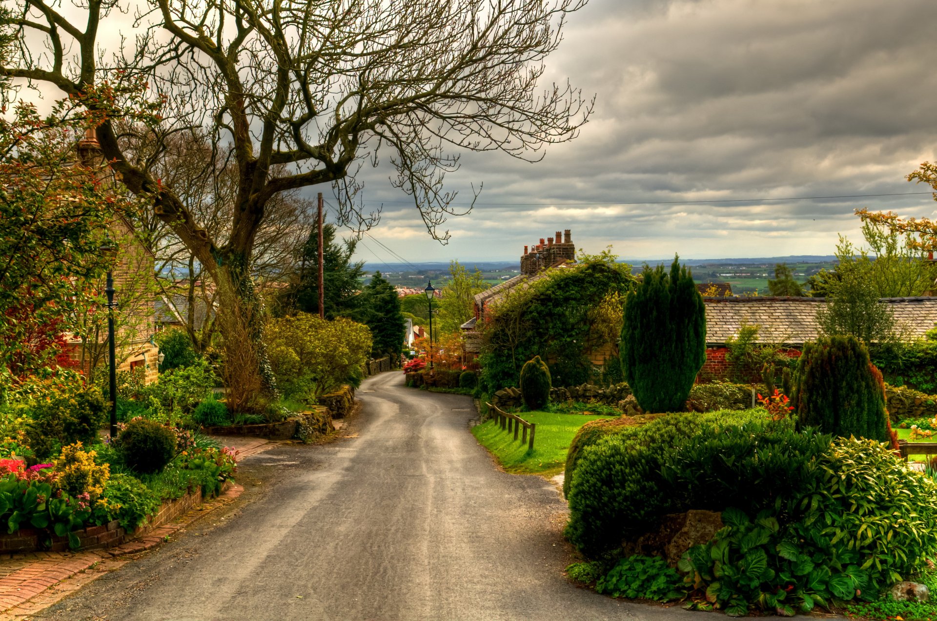 united kingdom road england horwich tree bush town photo