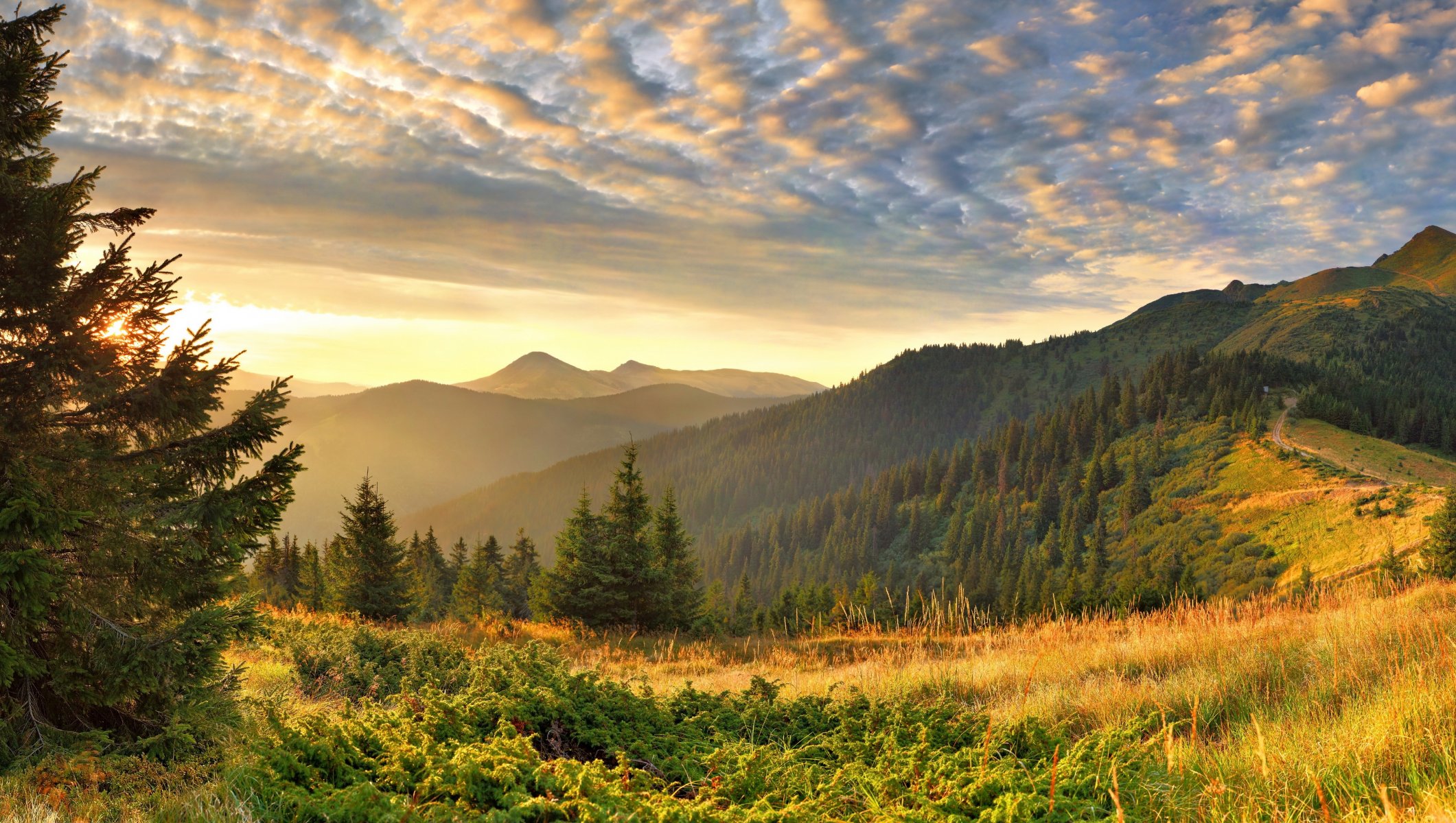 ky mountain grass forest clouds