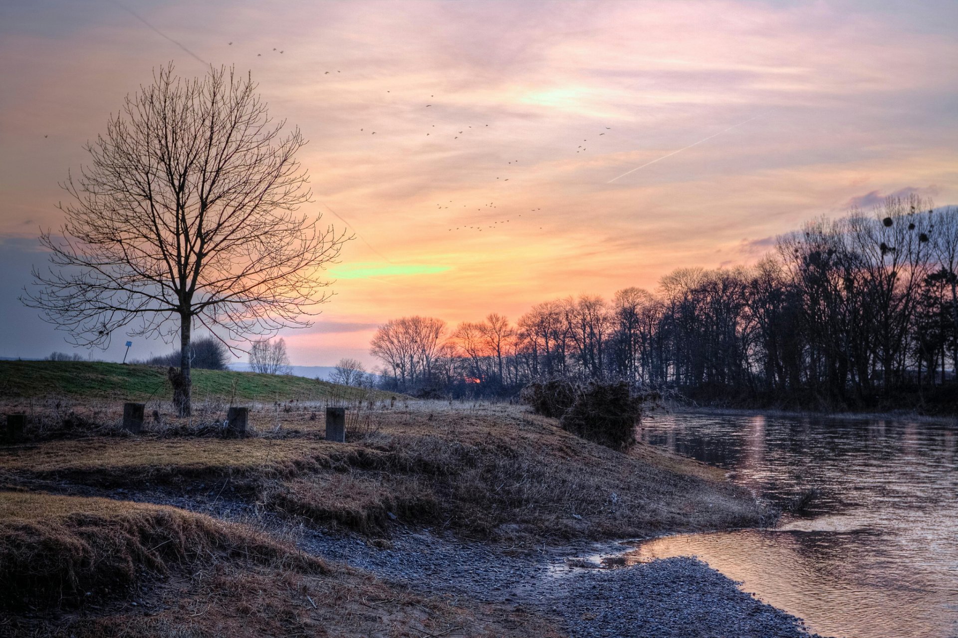 fiume alberi gelo tramonto uccelli