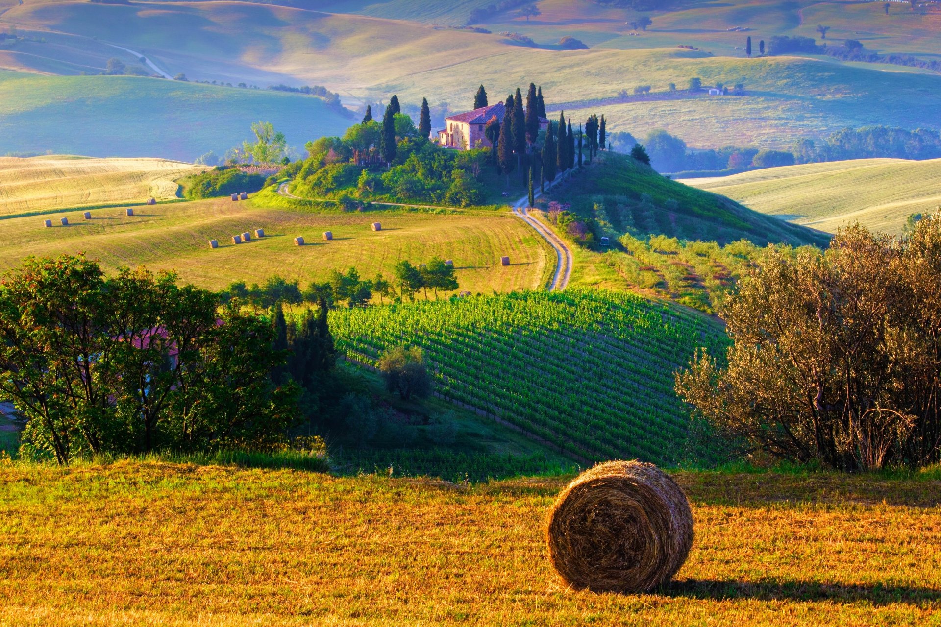 italie paysage nature champ meules de foin arbres collines ferme soleil matin toscane champs meules de foin foin ferme lever du soleil matin