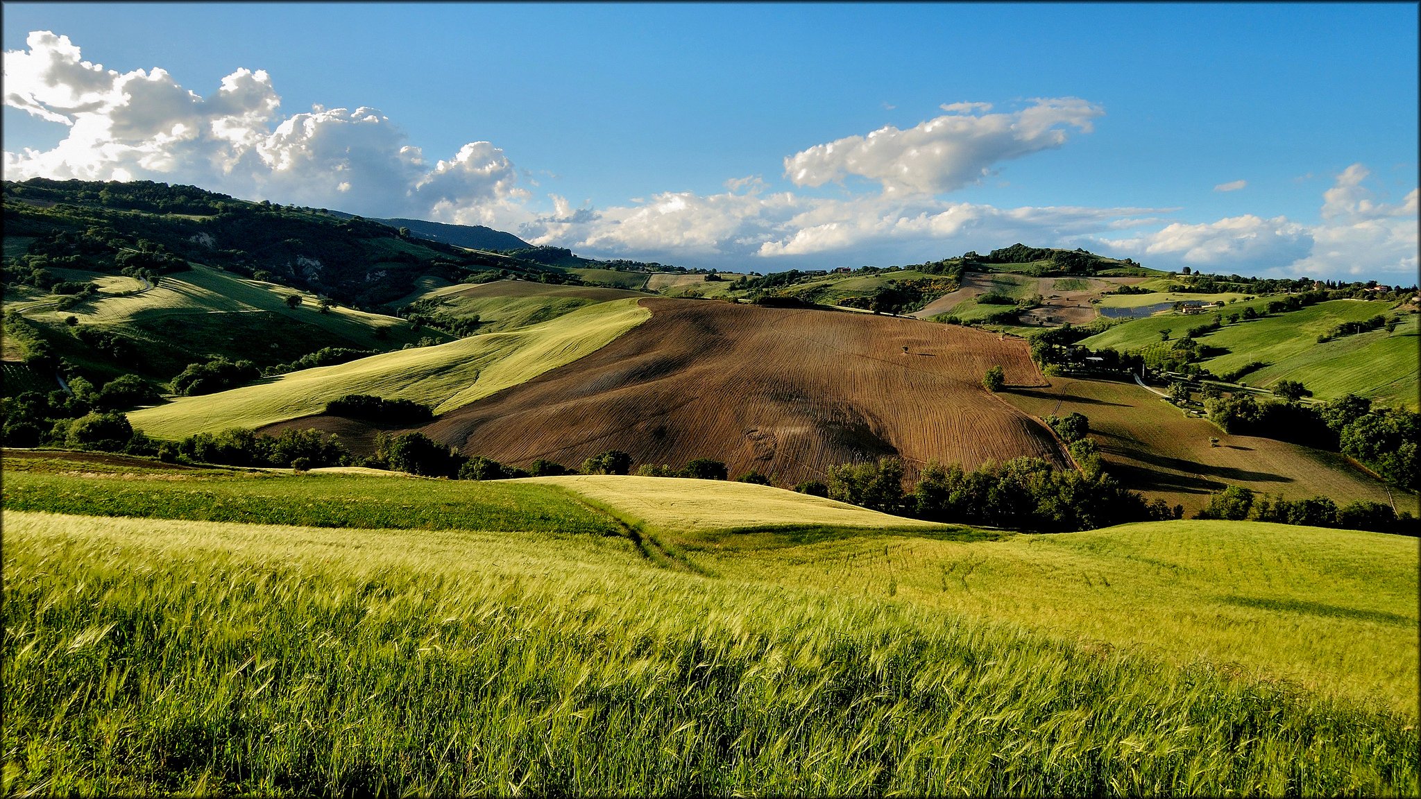 colinas árboles campos verano san severino italia