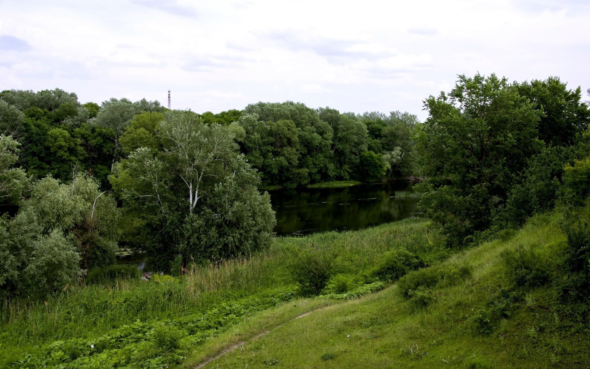 ucrania slobozhanschina seversky donets río sendero árboles hierba