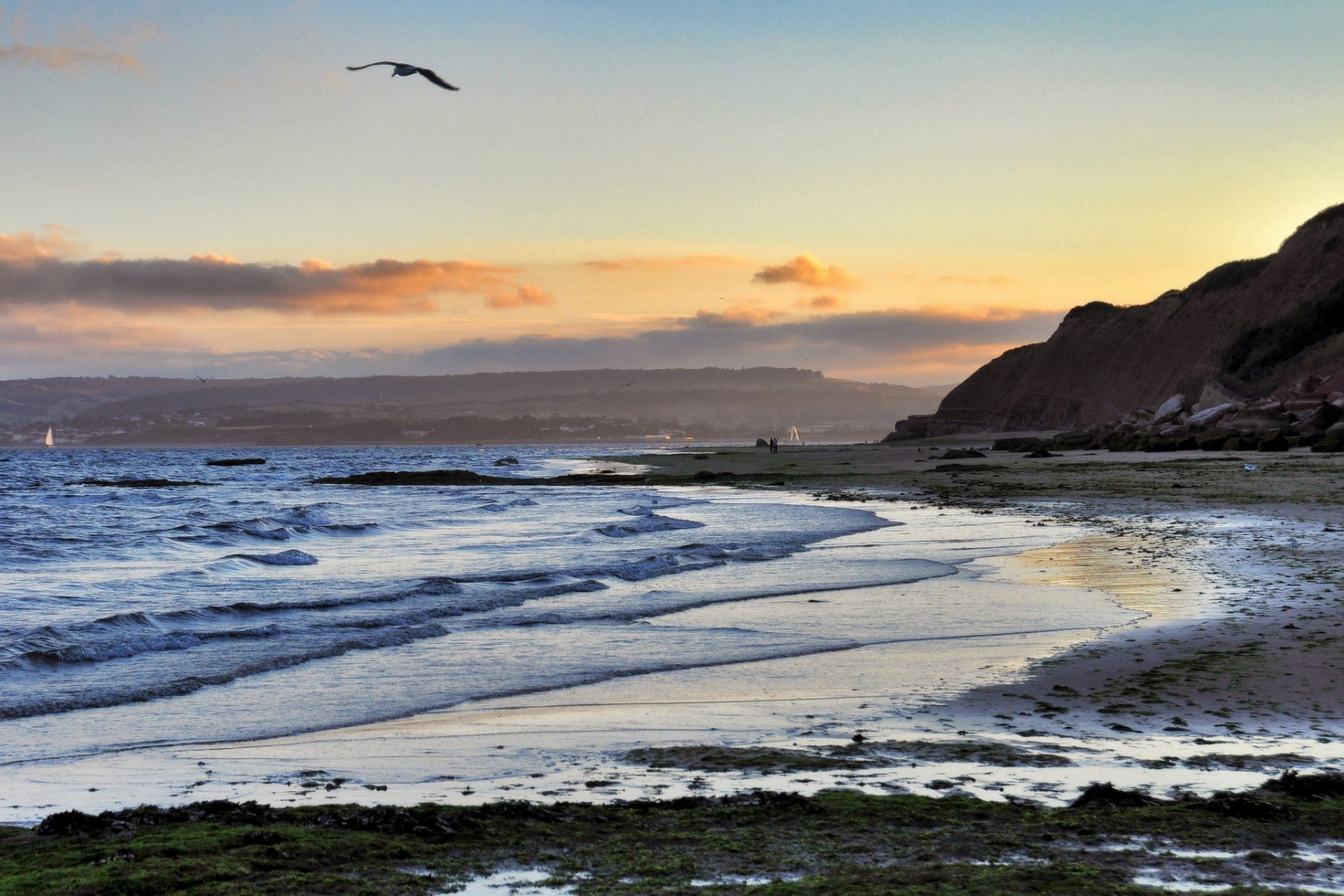 plage mer baie soirée oiseau