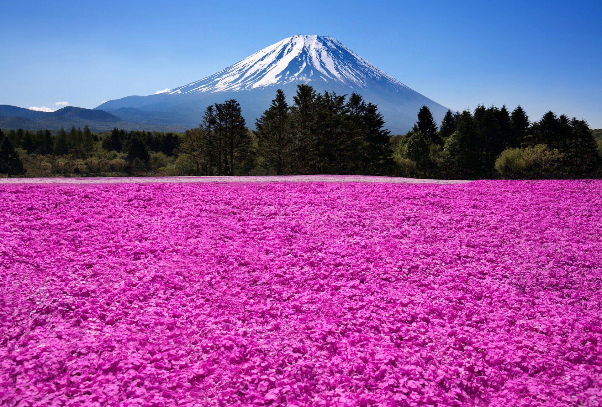 japon fuji volcan montagne nature