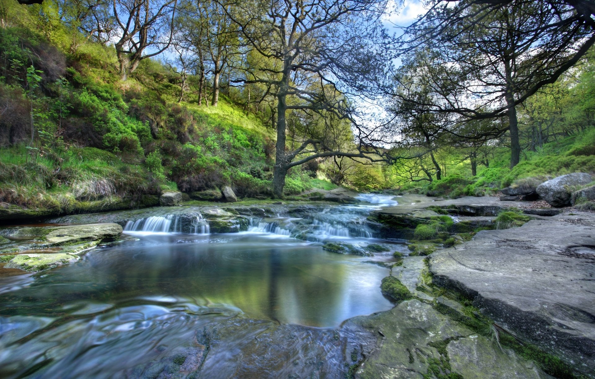 peak national park district england peak district national park fluss bäume pisten