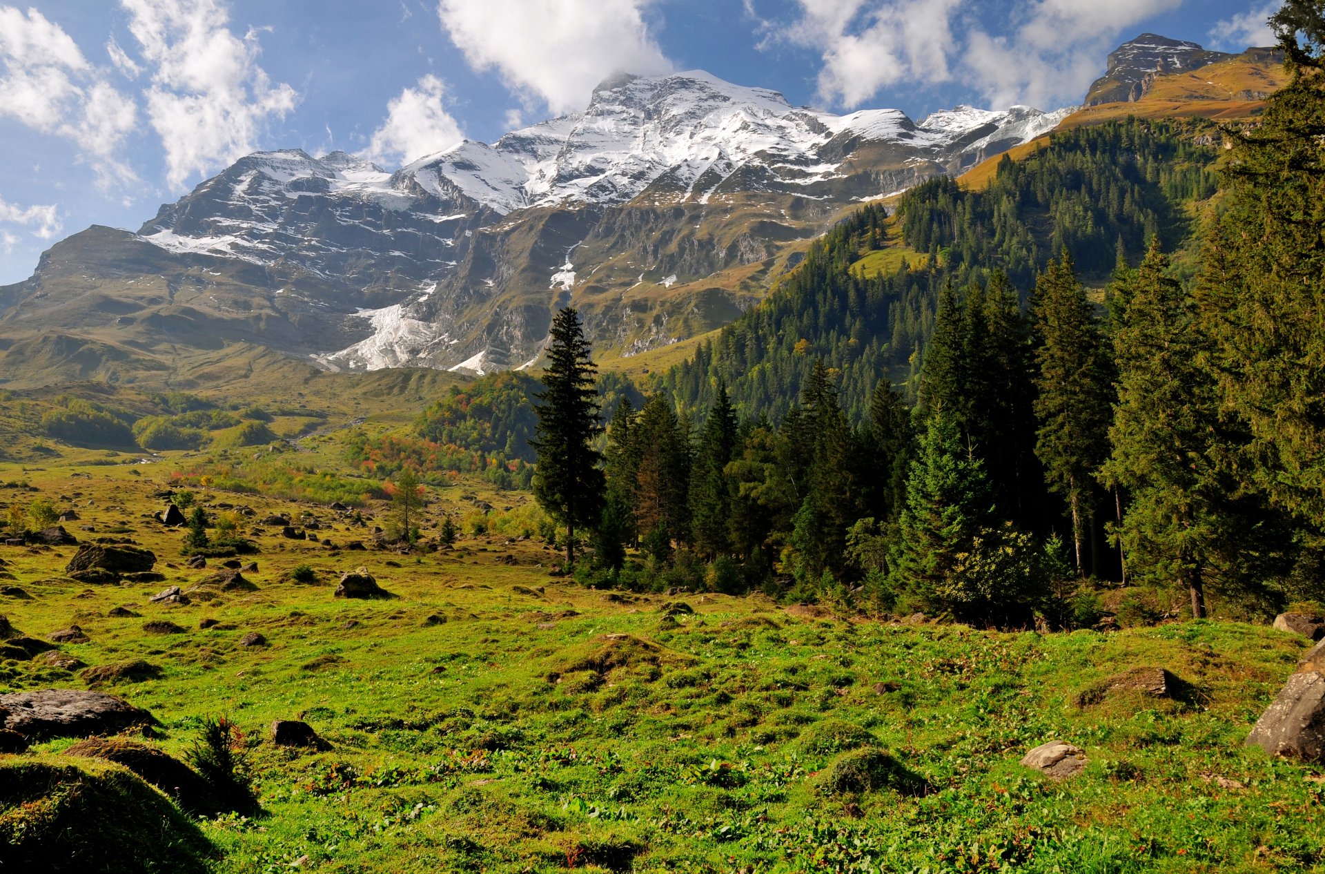 montagne neve foresta alberi erba rocce cielo nuvole