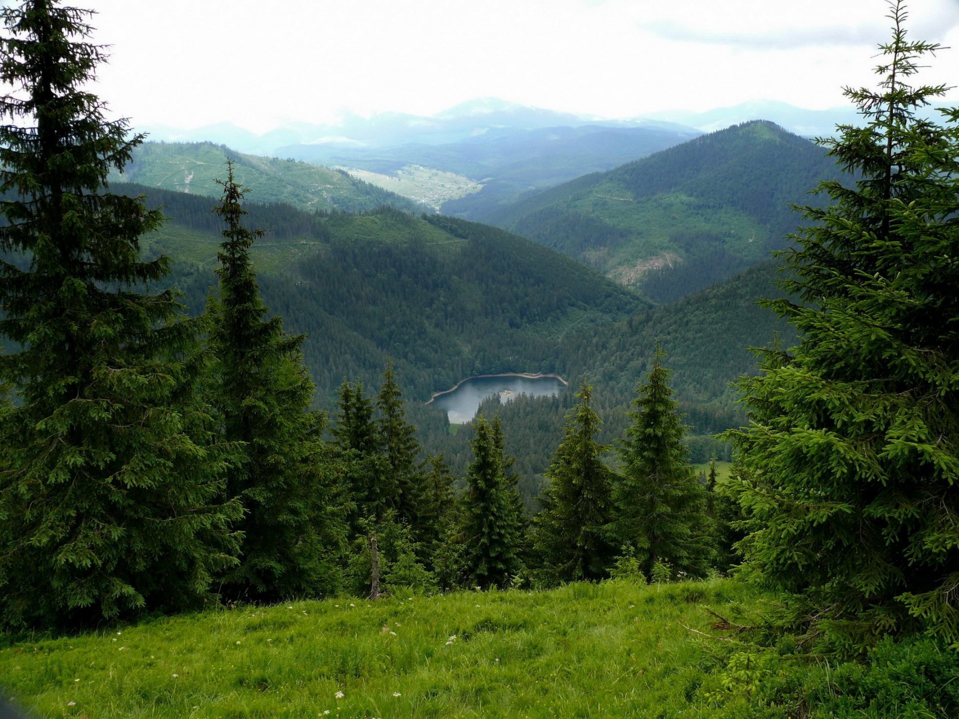 ukraine transkarpatien sinevir see karpaten berge fichten natur