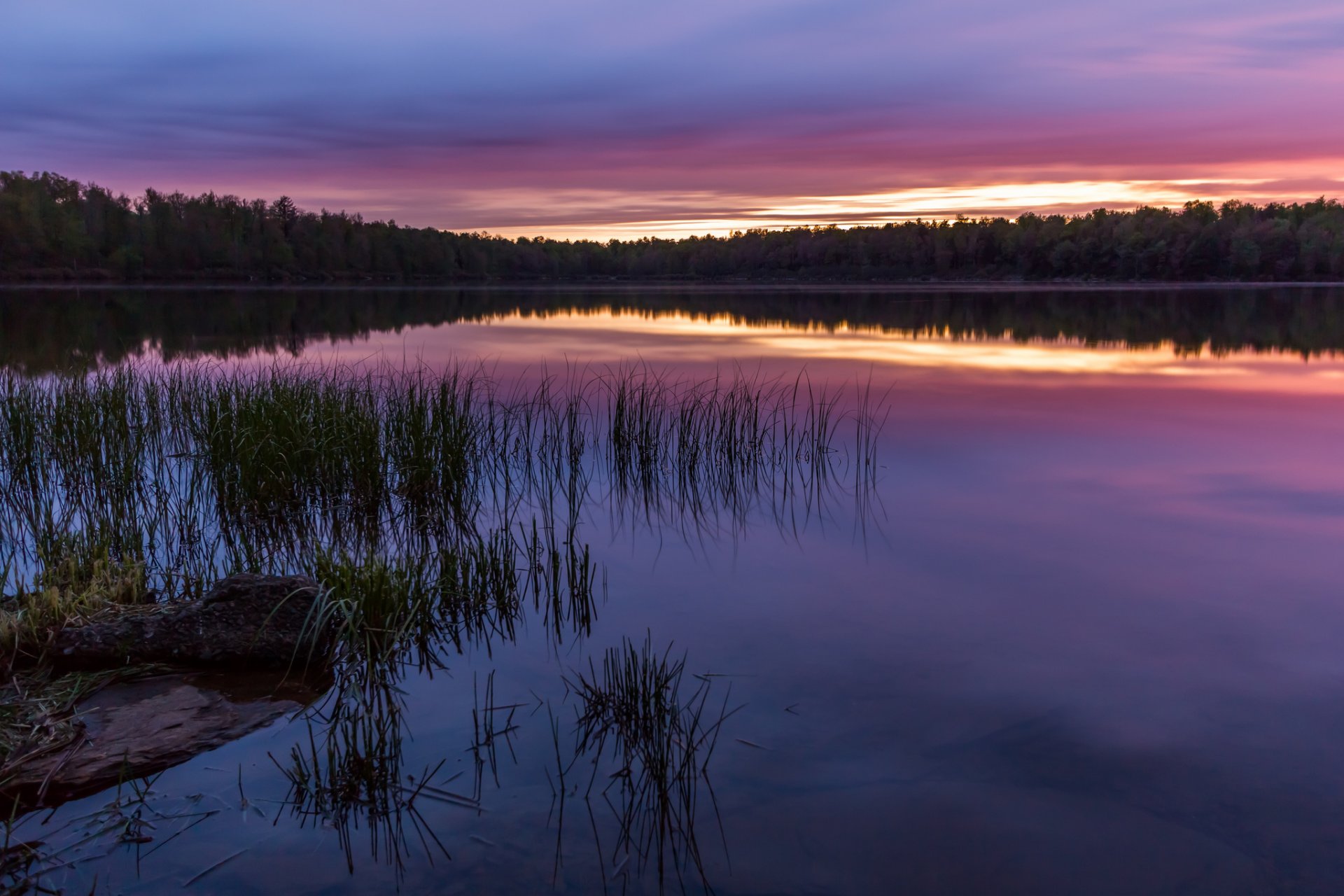 united states pennsylvania national park river beach grass tree forest night sunset sky reflection