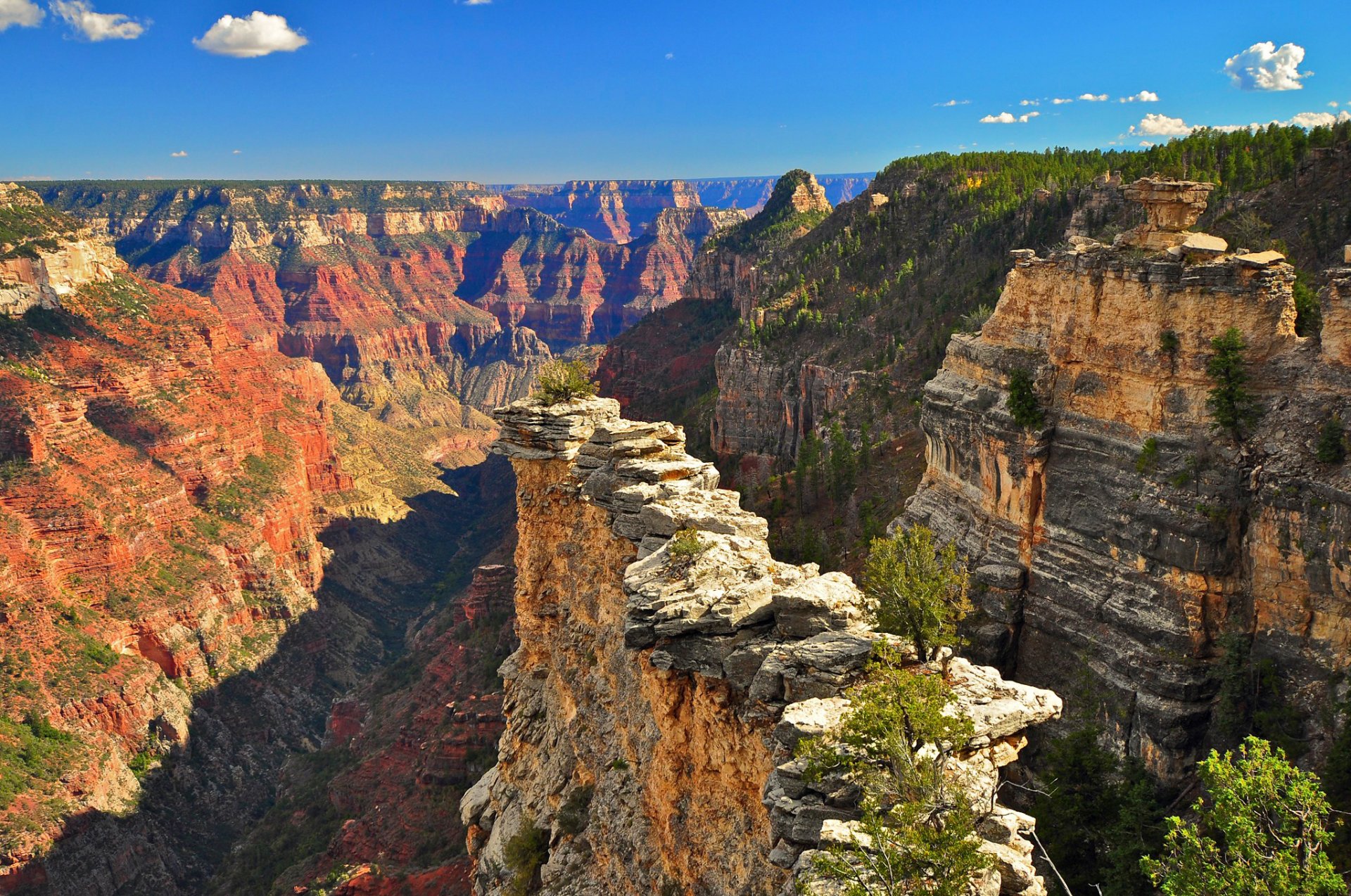 parco nazionale del grand canyon usa cielo nuvole montagne canyon alberi