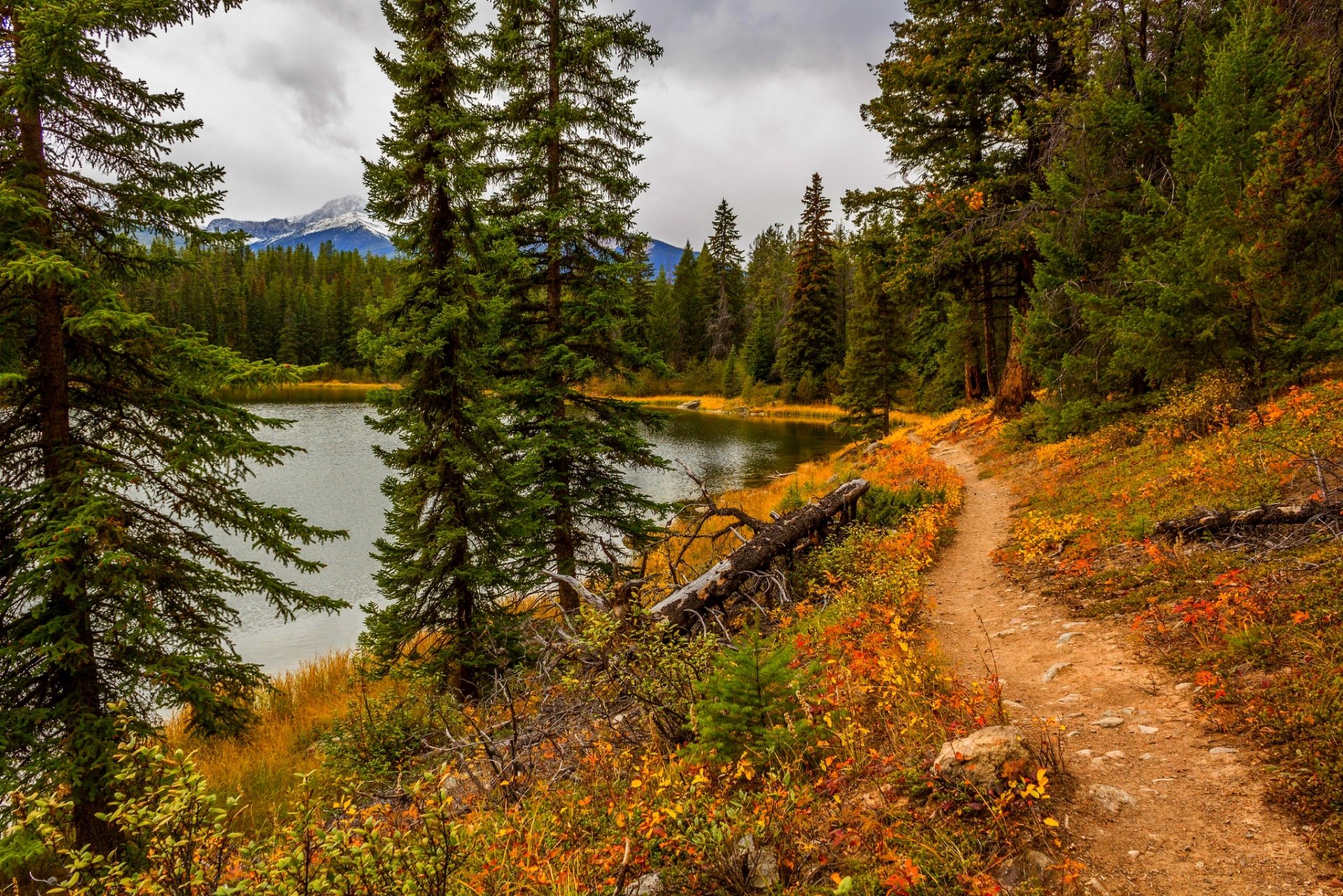 natur himmel wolken fluss wasser wald park bäume blätter bunt herbst herbst farben zu fuß berge