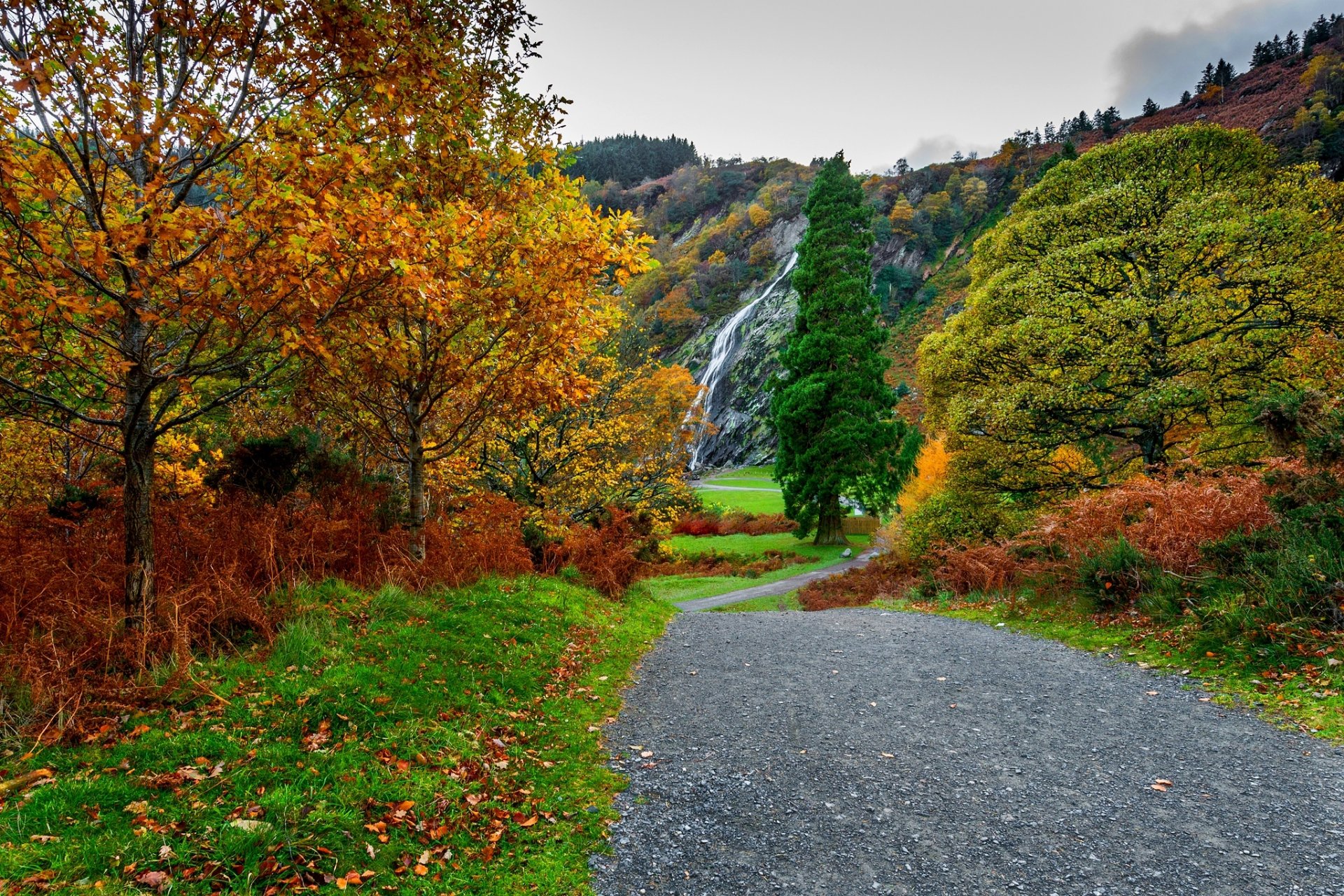 natura montagne cielo nuvole acqua foresta parco alberi foglie colorato strada autunno caduta colori passeggiata