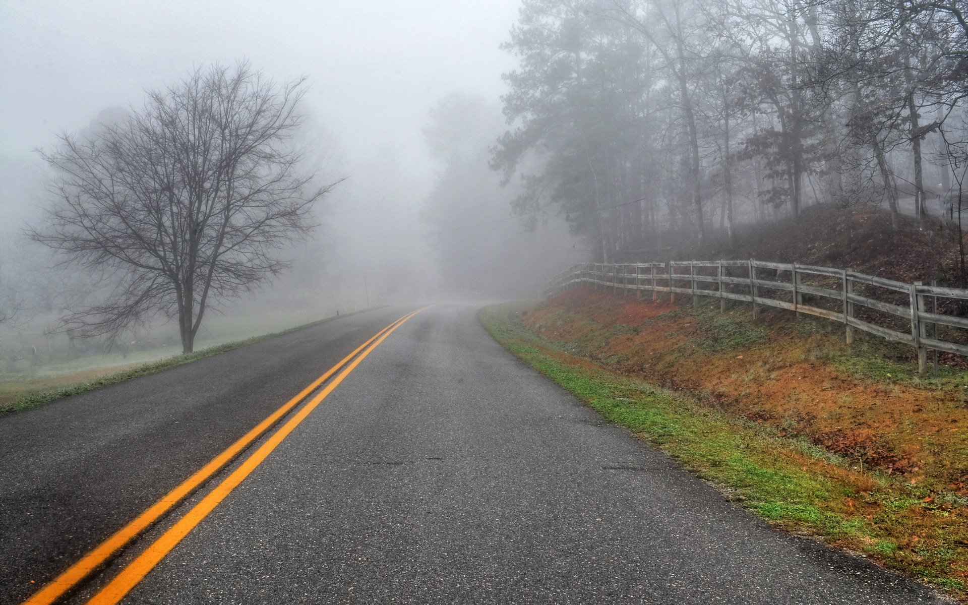 straße nebel zaun landschaft