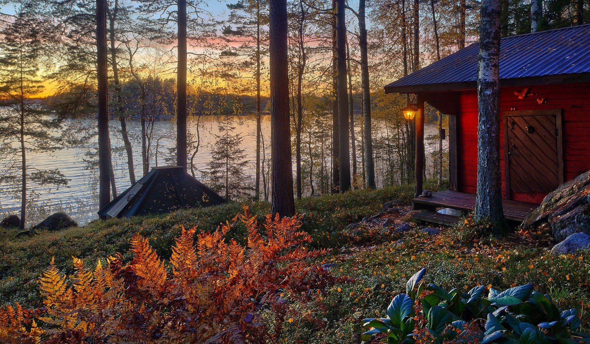 nature paysage forêt arbres soleil coucher de soleil automne villa maisons architecture vila maison vue