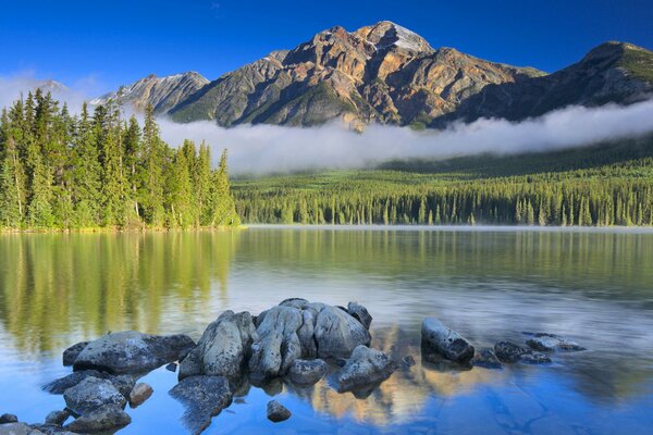 Beautiful view of the misty top of the mountains