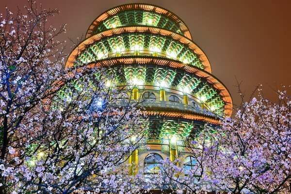 Nachtlichter des Gebäudes in blühenden Sakura