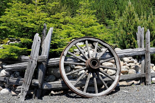 An old wheel near a broken fence