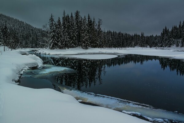 Lago en el bosque de invierno