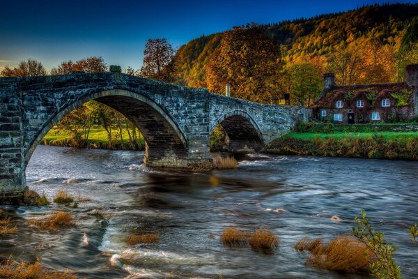 Herbstwald mit Brücke über den Fluss