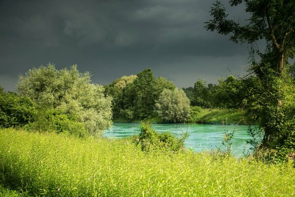 Tall green grass and blue river