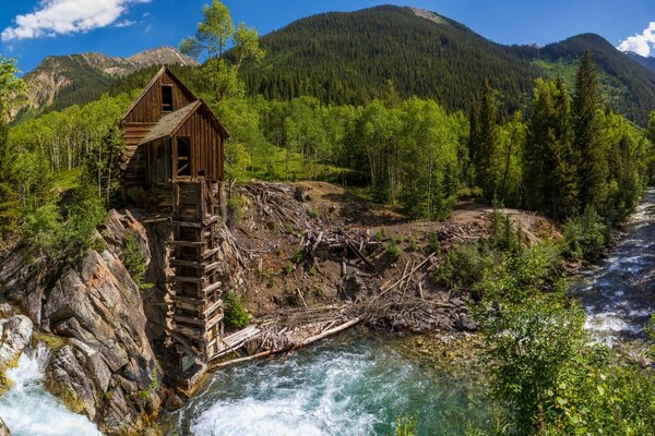 Водяная мельница на лесной реке