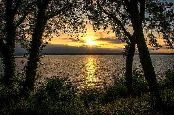 Sonnenuntergang und Horizont zwischen den Bäumen