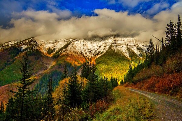 La strada per un bellissimo angolo della natura