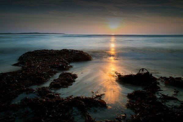 Landschaft: Sonnenuntergang am Meer