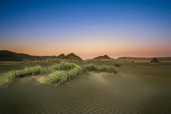 Wind Sand Wellen Horizont in rosa Farbe