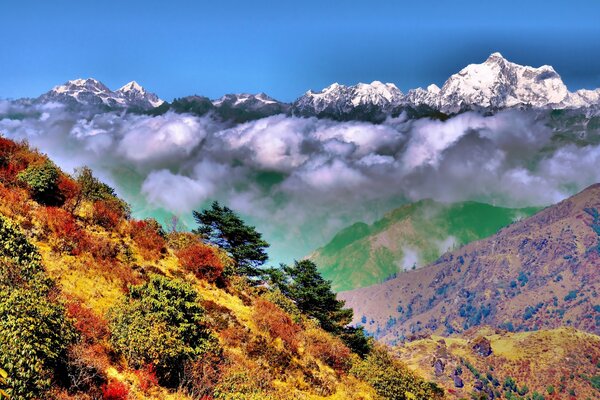 A colorful national park against the background of foggy snow-covered mountains and blue sky