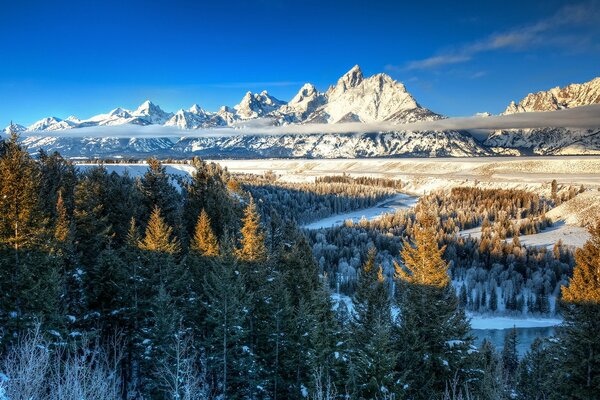 Fantastic snowy mountain peaks and forest