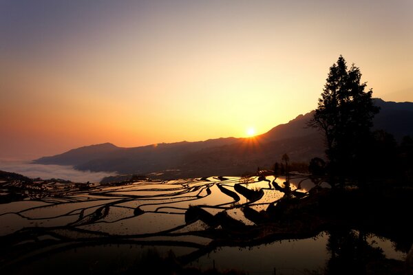Lever du soleil sur les rizières