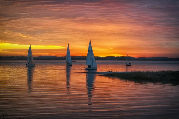 Veleros al atardecer junto al lago