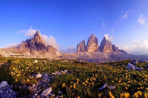 Sommets rocheux pointu nature pierres fleurs