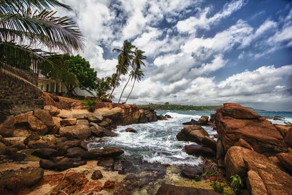 Пляж Шри-Ланки с пальмами и камнями