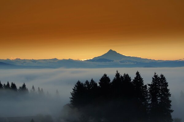 Bäume und Sonnenuntergang über der Bergspitze