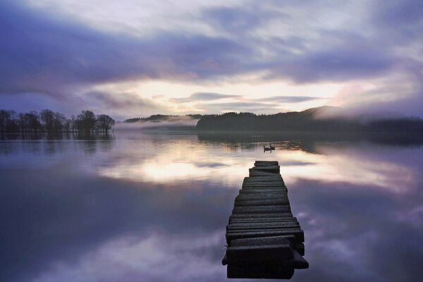 Niebla mágica en el lago