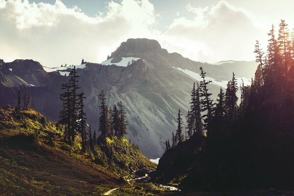 A forest with a river on the background of mountains with a cloudy blue sky